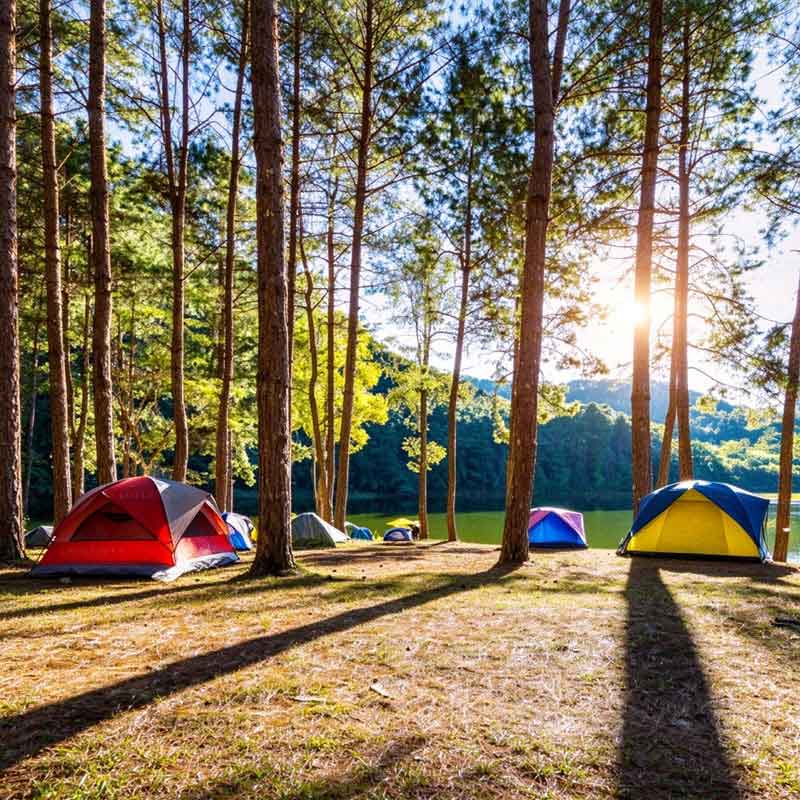 Campingartiklar